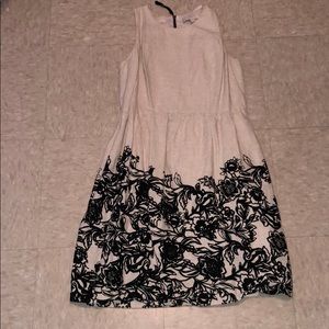 Ann Taylor Loft Dress